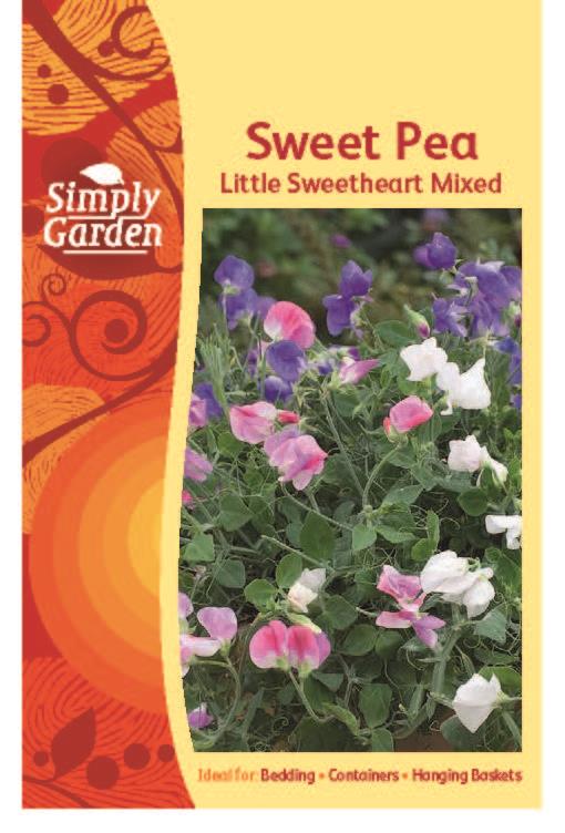 Sweet Pea Little Sweetheart Mixed