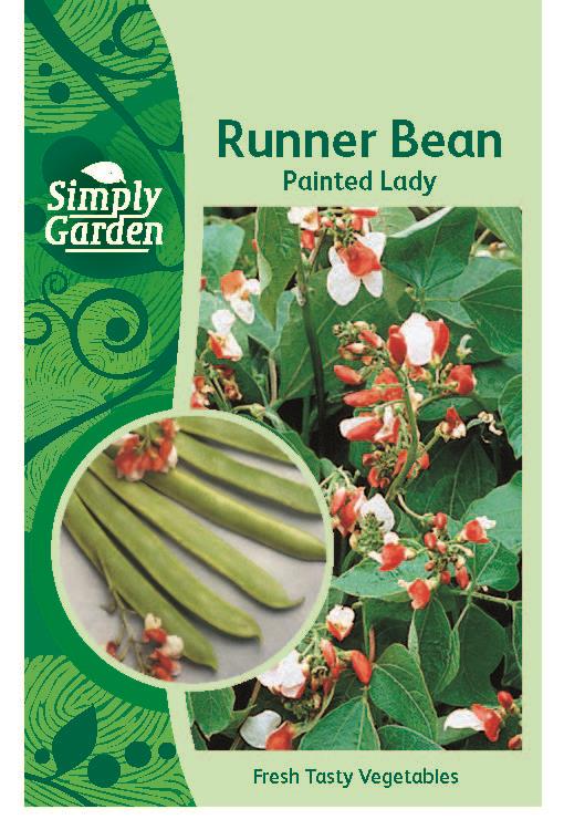 Runner Bean Painted Lady