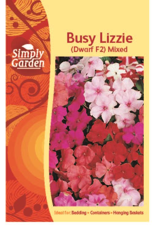 Busy Lizzie Dwarf Mixed