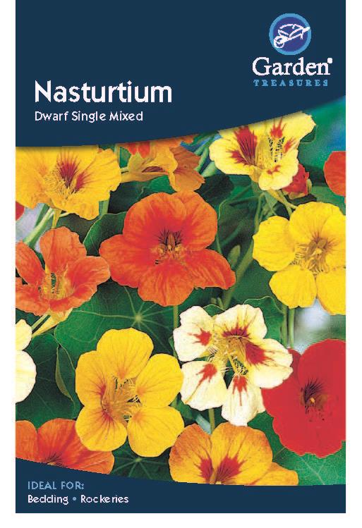 Nasturtium Dwarf Single