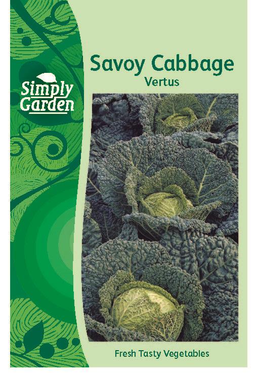 Savoy Cabbage Vertus