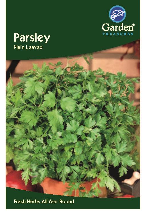 Parsley Plain Leaved
