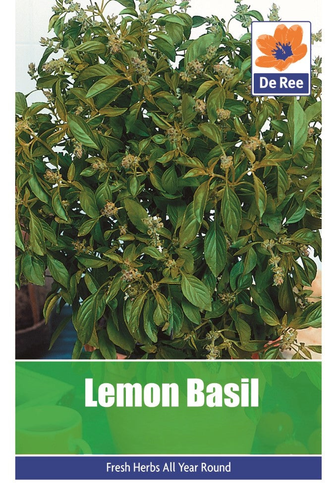 Lemon Basil Seeds