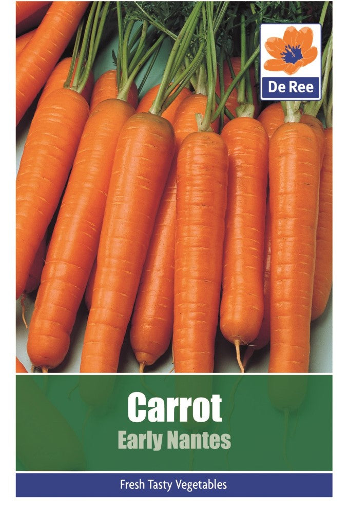 Carrot: Early Nantes Seeds