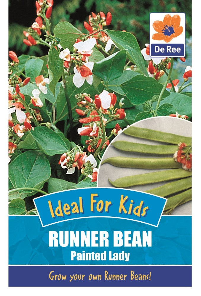 Runner Bean: Painted Lady Seeds