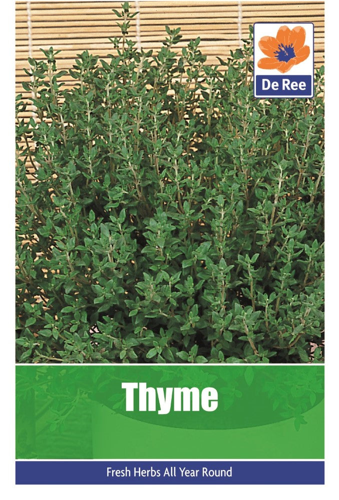 Thyme Seeds