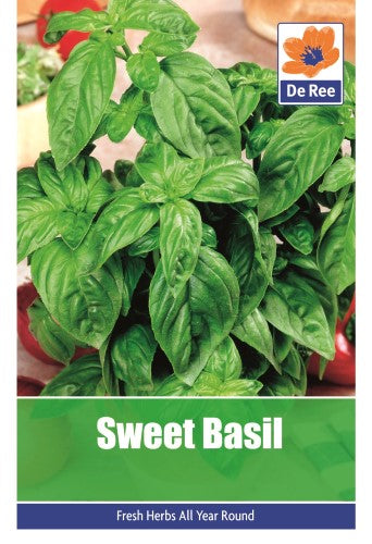 Sweet Basil Seeds