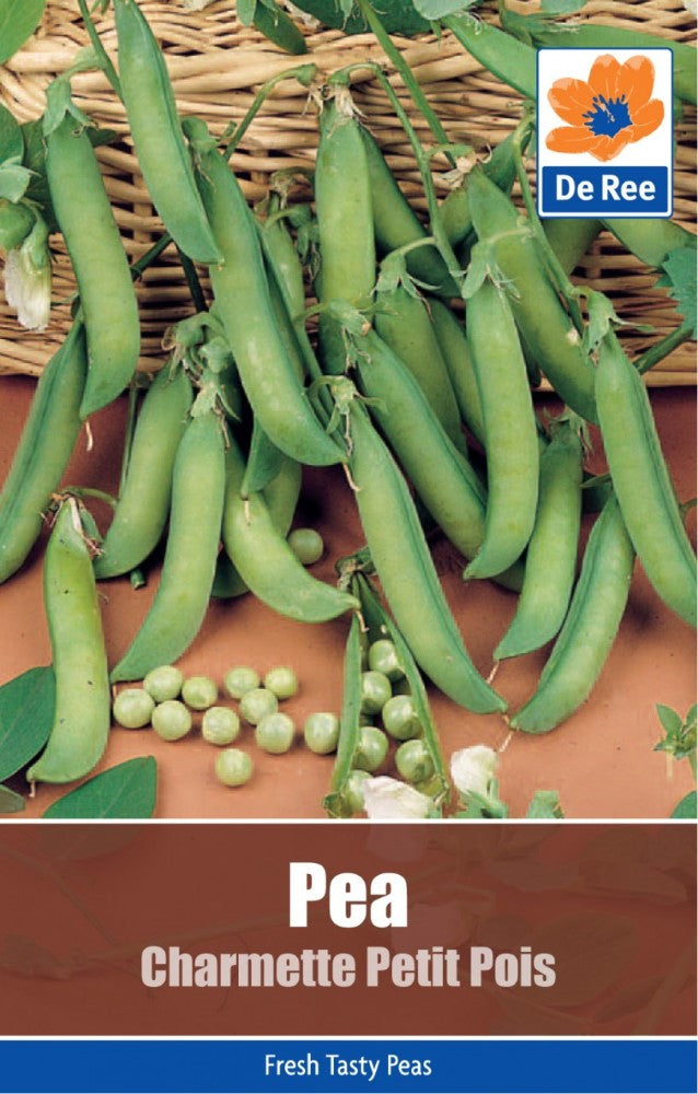 Pea: Charmette Petit Pois Seeds