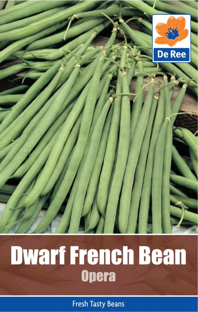 Dwarf French Bean: Opera Seeds