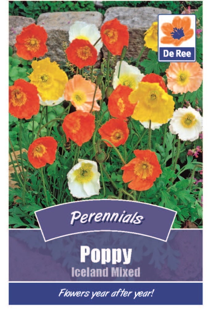 Poppy: Iceland Mixed Seeds