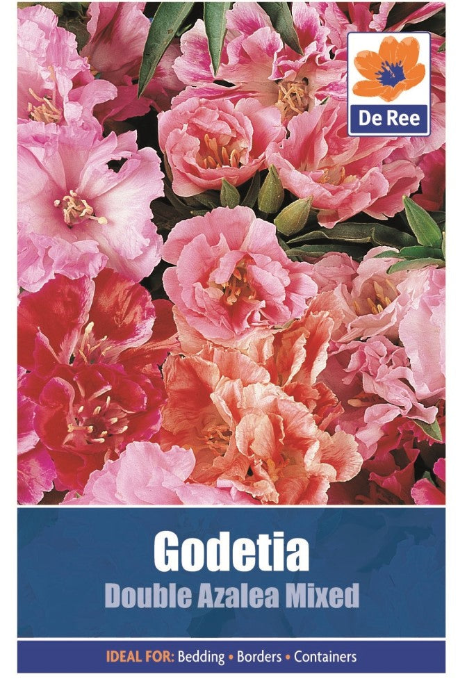 Godetia: Double Azalea Mixed