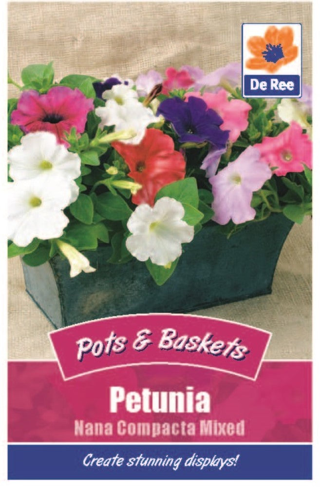 Petunia: Nana Compacta Mixed Seeds