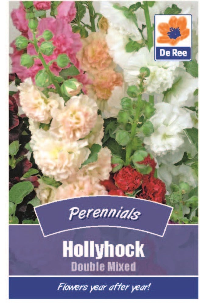 Hollyhock: Double Mixed Seeds