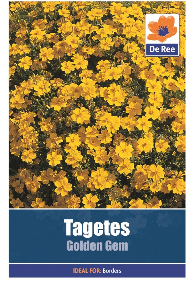 Tagetes: Golden Gem Seeds