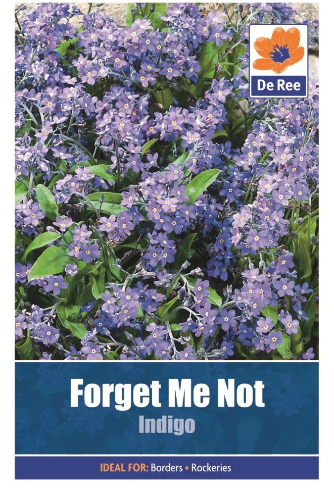 Forget Me Not: Indigo Seeds