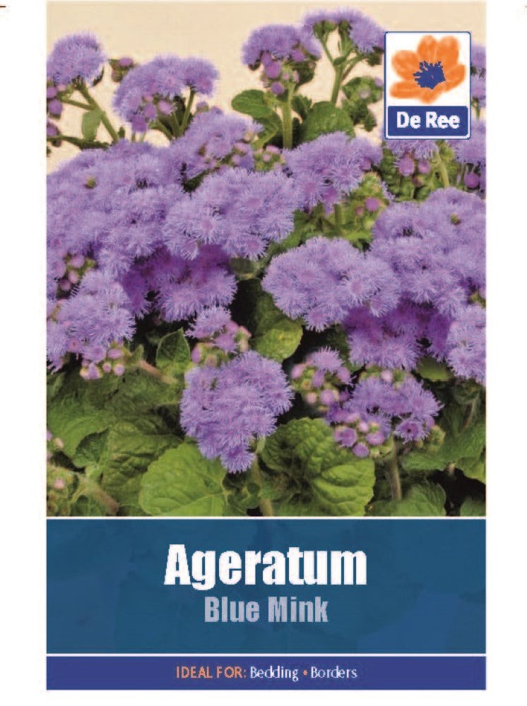 Ageratum: Blue Mink Seeds