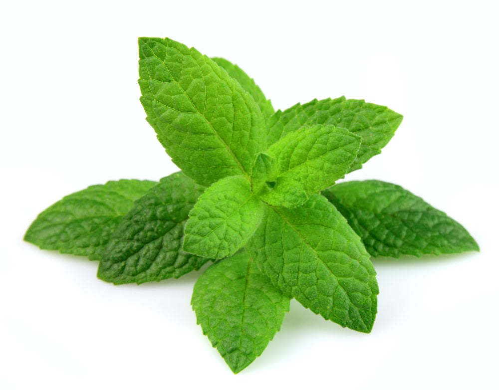 Mint Seeds