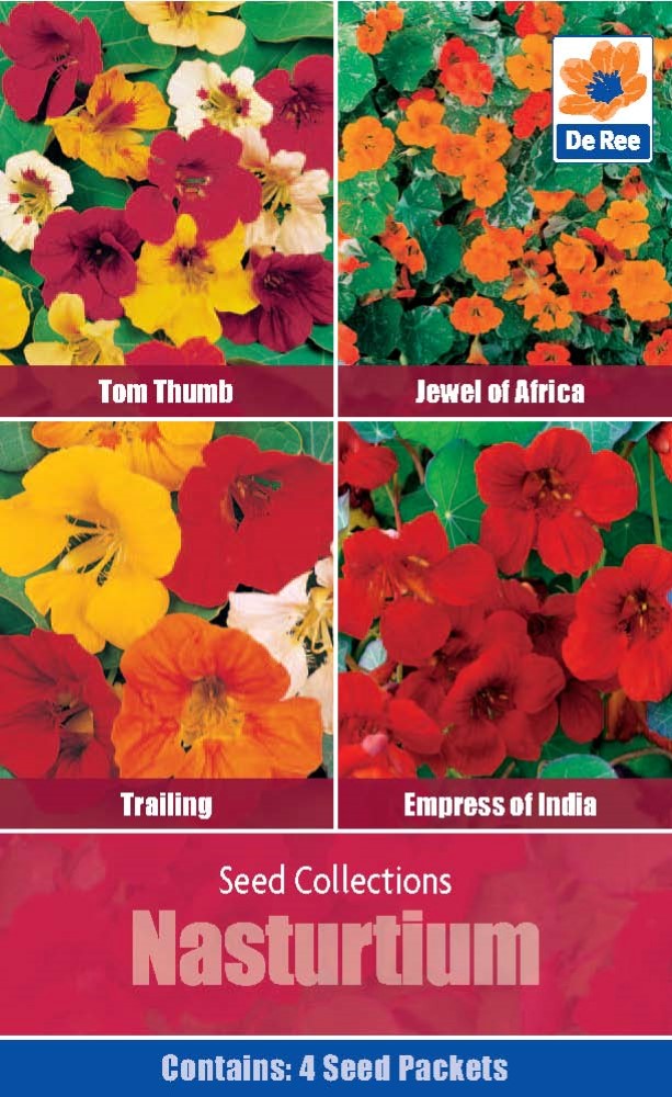 Nasturtium - Seed Collection