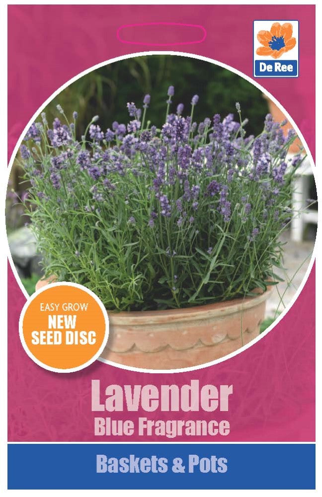 Lavender Blue Fragrance