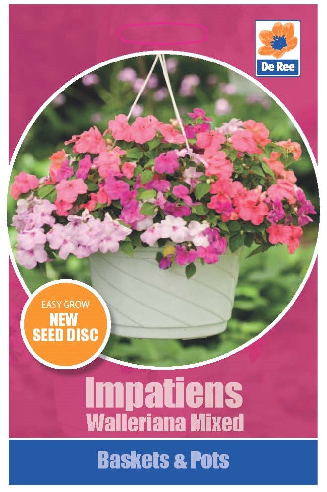 Impatiens Walleriana Mixed