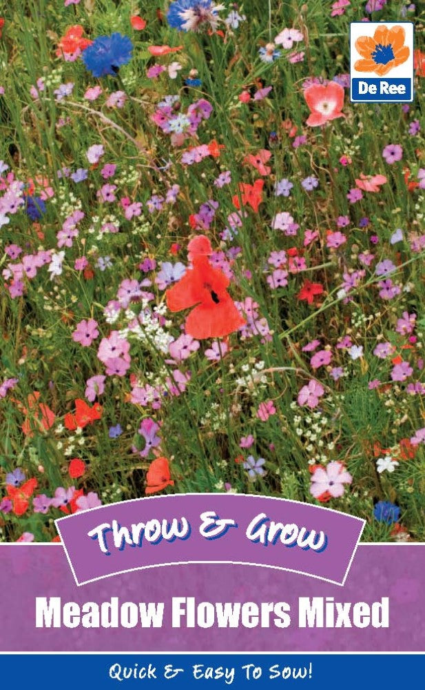 Meadow Flowers Mixed