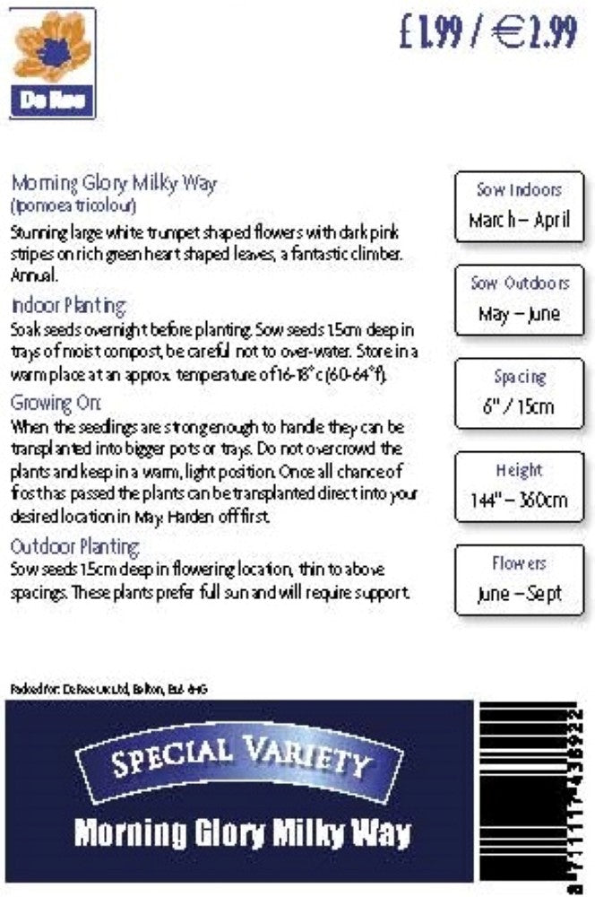 Morning Glory - Milky Way