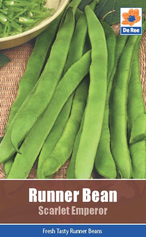 Runner Bean - Scarlet Emperor