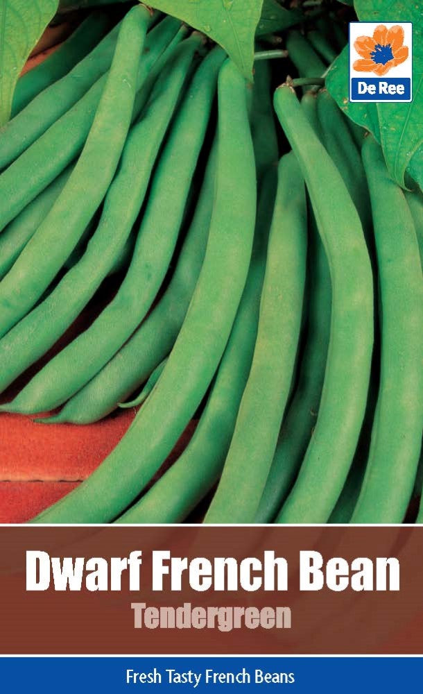Dwarf French Bean - Tendergreen