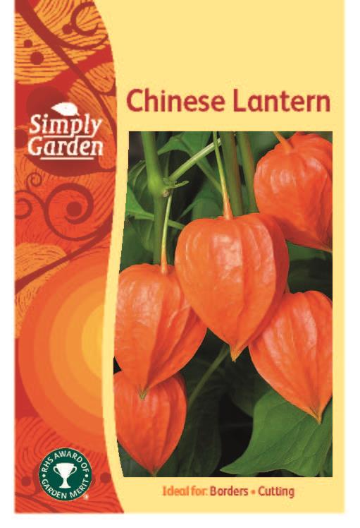 Chinese Lantern