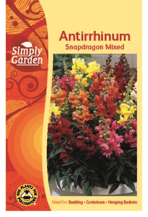 Antirrhinum Snapdragon Mixed