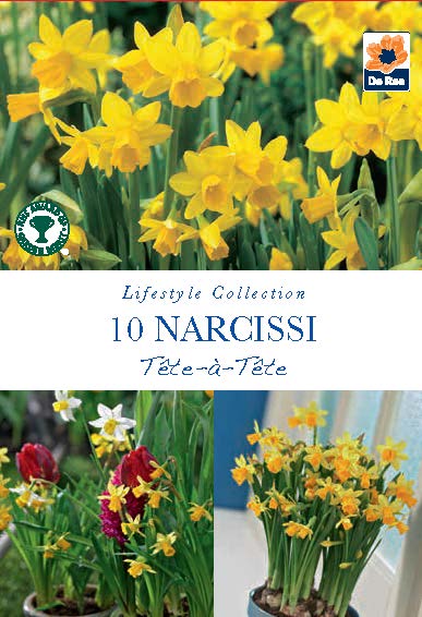 Narcissi Tete a Tete Bulbs