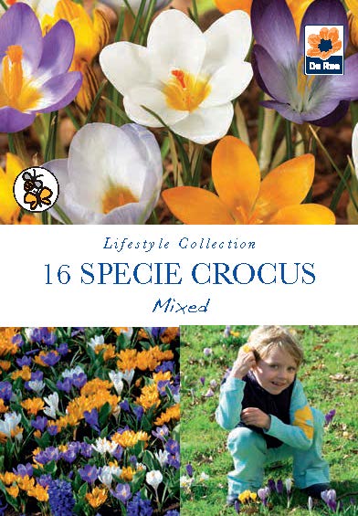 Specie Crocus Mixed Bulbs