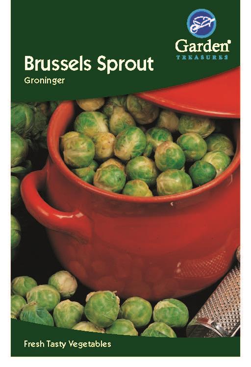 Brussels Sprout Groninger