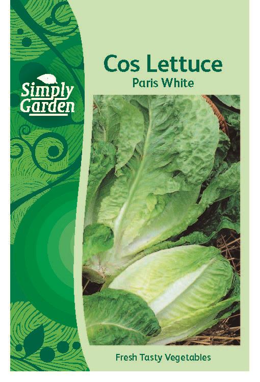 Cos Lettuce Paris White