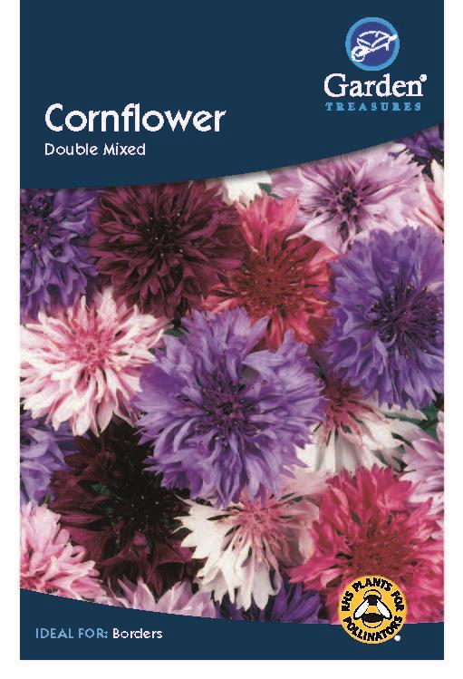 Cornflower Double Mixed