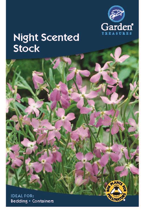 Night Scented Stock