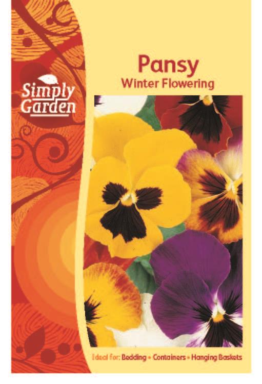 SG - Pansy Winter Flowering