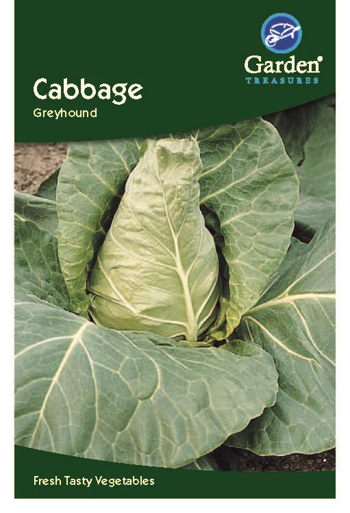 Cabbage Greyhound