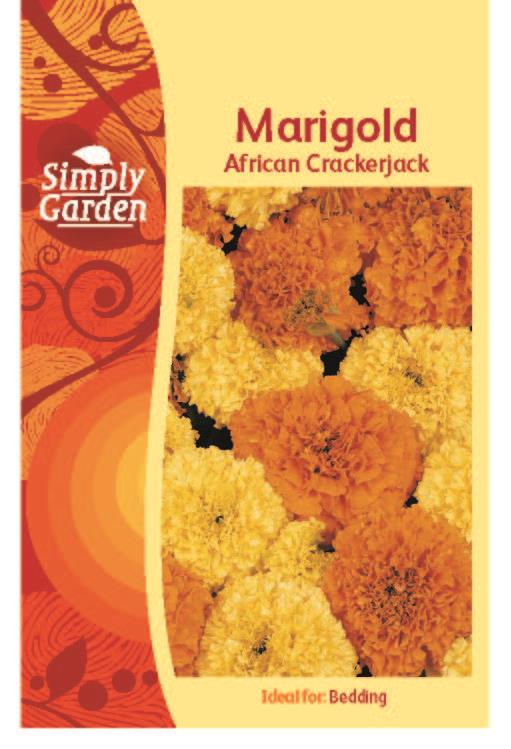 Marigold African Crackerjack