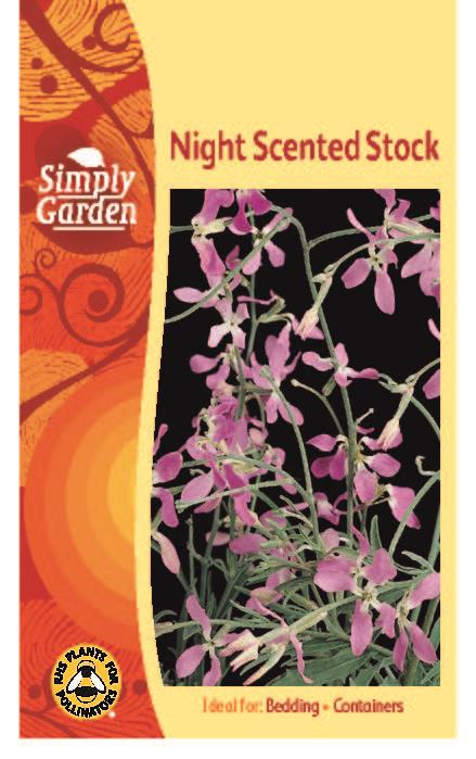 Night Scented Stock