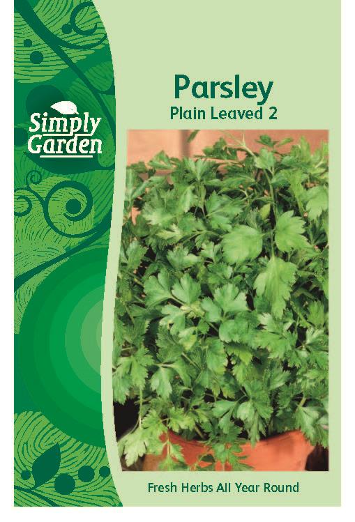 Parsley Plain Leaved