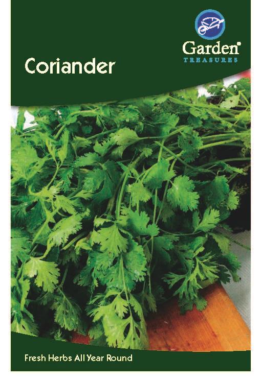 Coriander