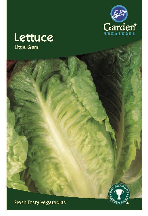 Lettuce Little Gem
