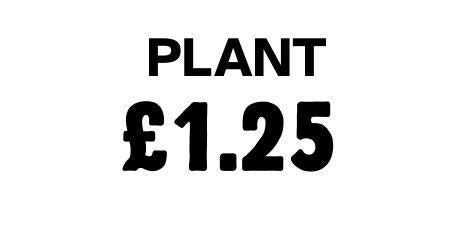 Plant £1.25
