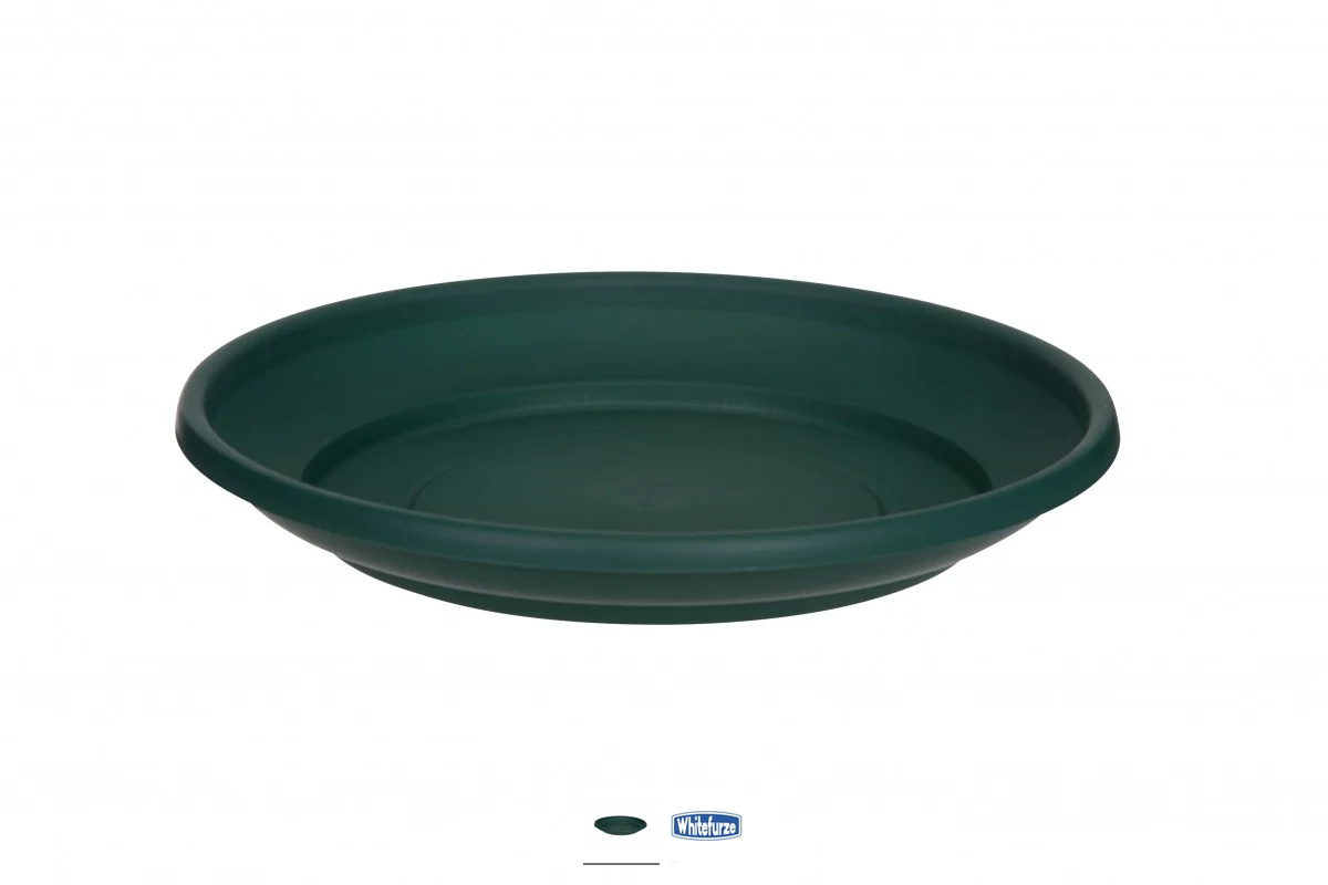 43cm Saucer - Green
