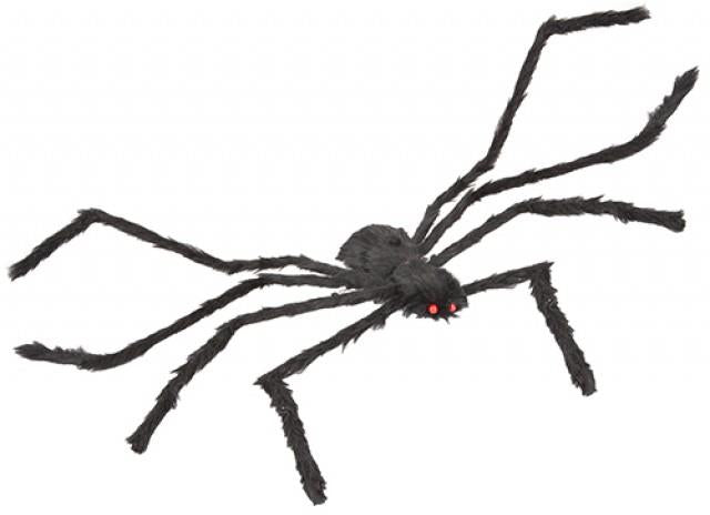 Giant Furry Spider