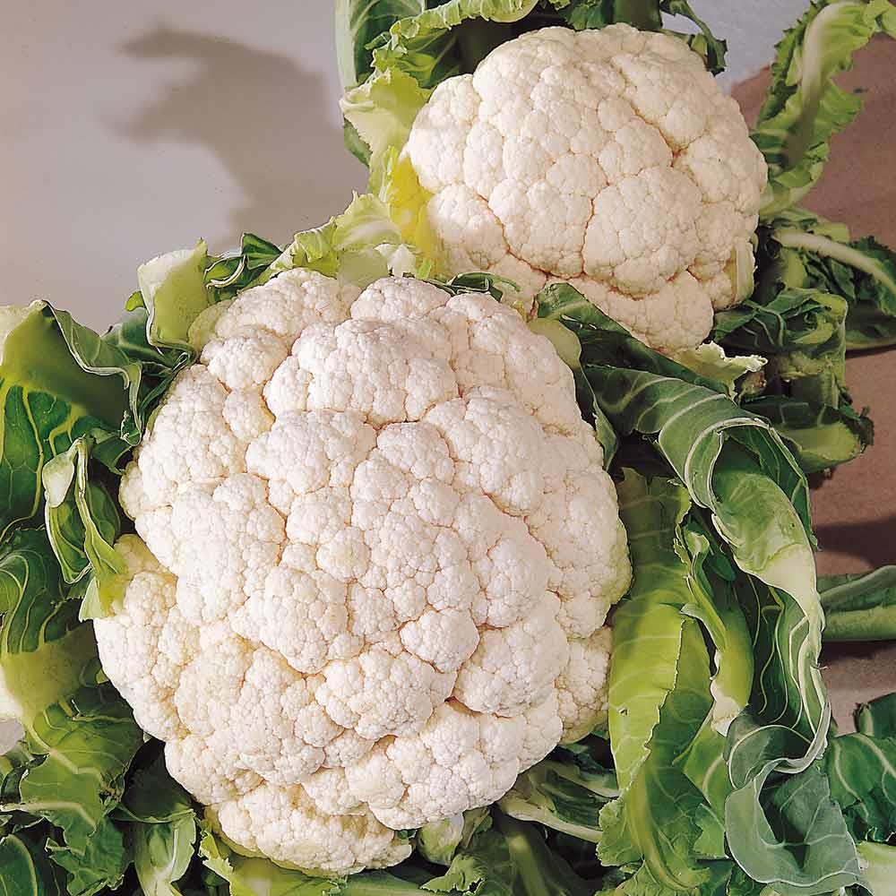 SG - Cauliflower Snowball