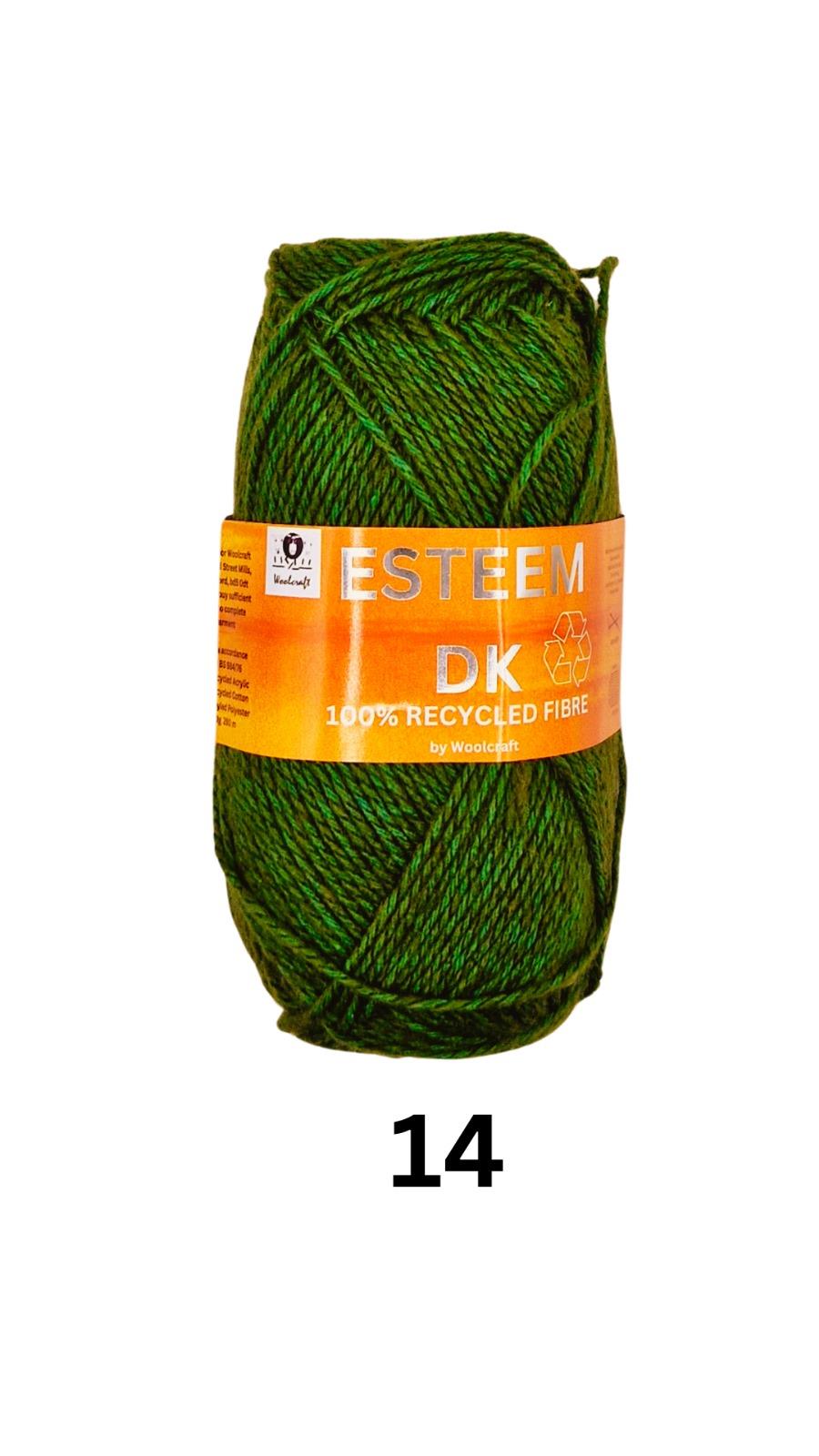 Esteem DK Recycled 14 Leaf Twist