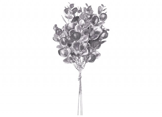 Eucalyptus Silver Bush Pick