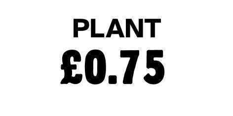Plant 75p